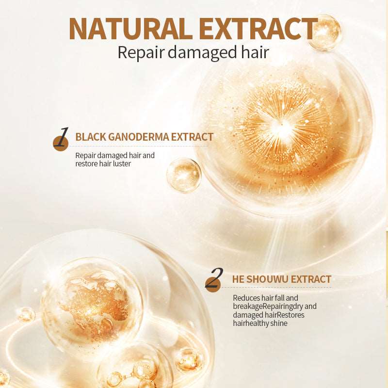 2Bmagic shampoo soap for compact bathroom routine